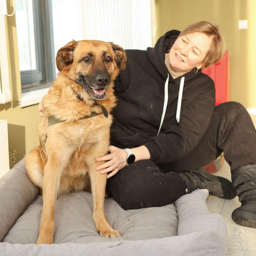 Изображение питомца