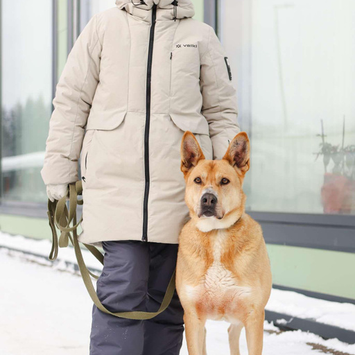 Изображение питомца