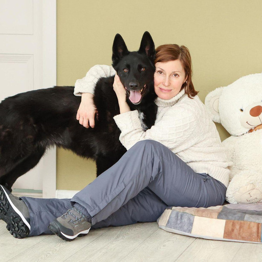 Изображение питомца