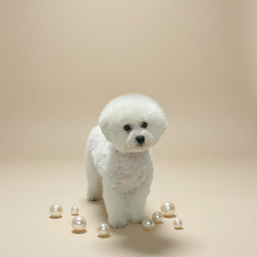 Изображение питомца