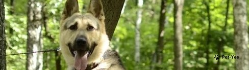 Обложка профиля пользователя