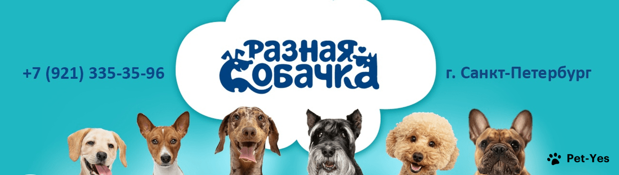 Обложка профиля пользователя