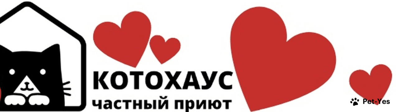 Обложка профиля пользователя