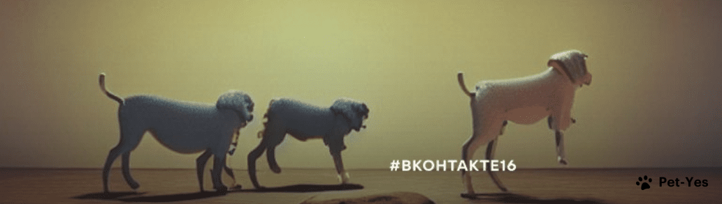 Обложка профиля пользователя