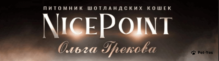 Обложка профиля пользователя