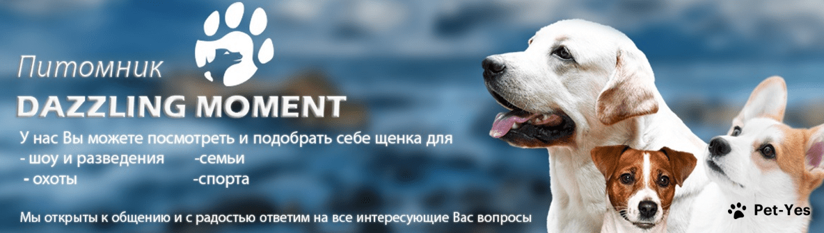 Обложка профиля пользователя
