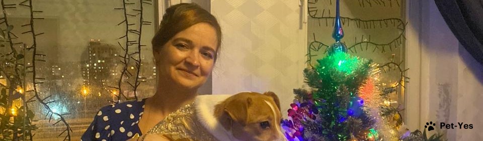 Обложка профиля пользователя