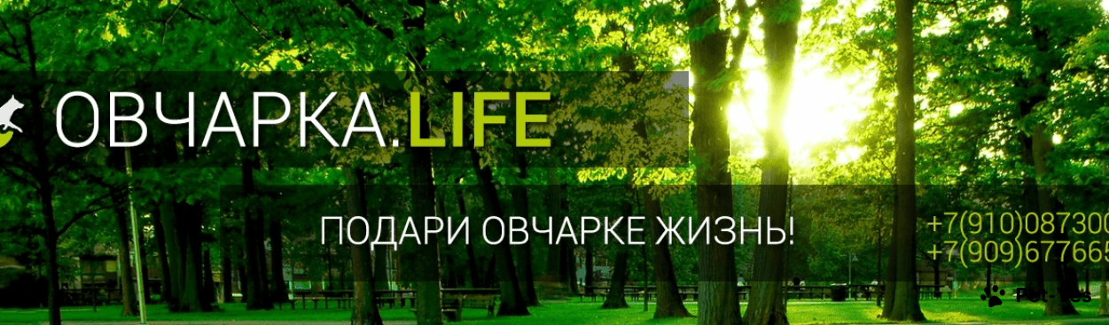 Обложка профиля пользователя