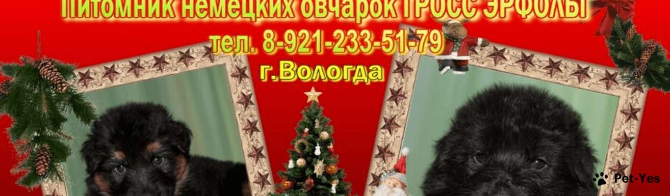 Обложка профиля пользователя