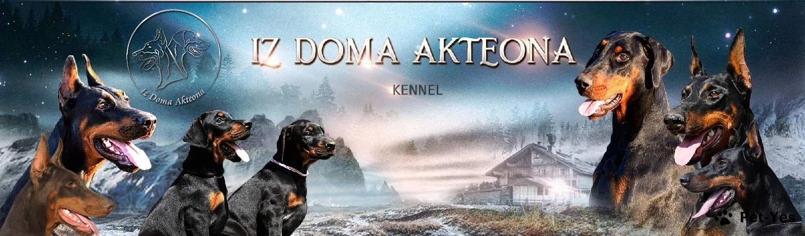 Обложка профиля пользователя