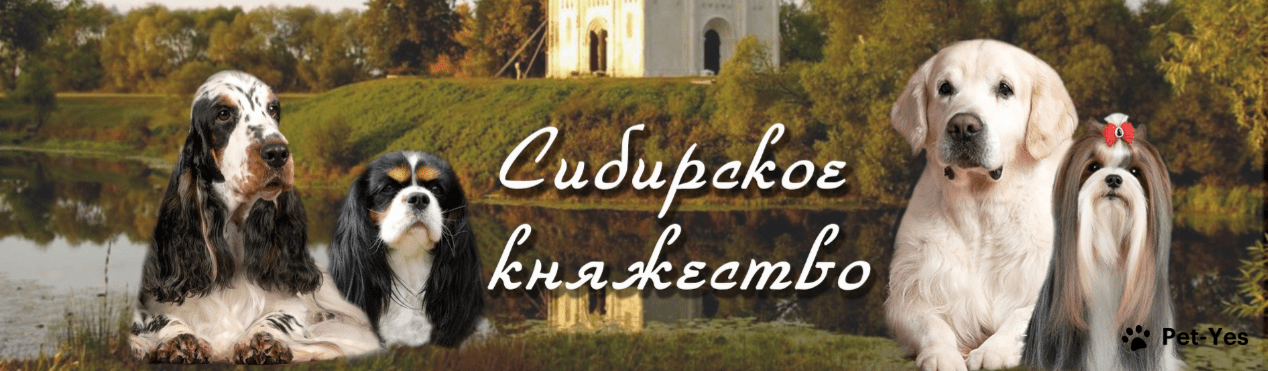 Обложка профиля пользователя