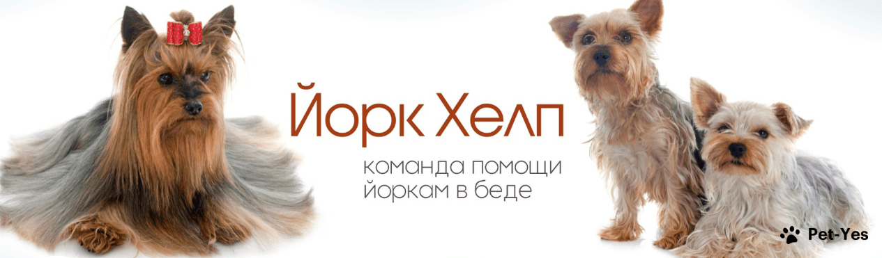 Обложка профиля пользователя