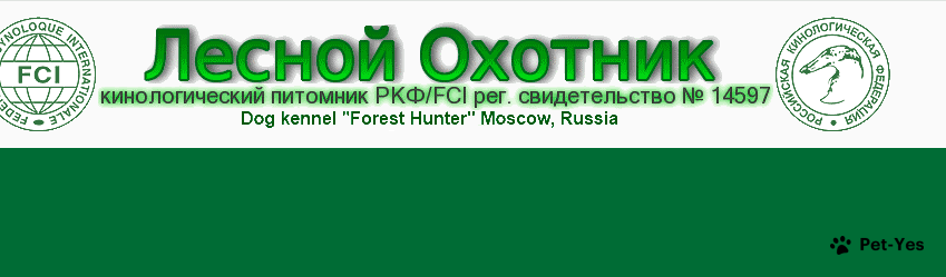 Обложка профиля пользователя