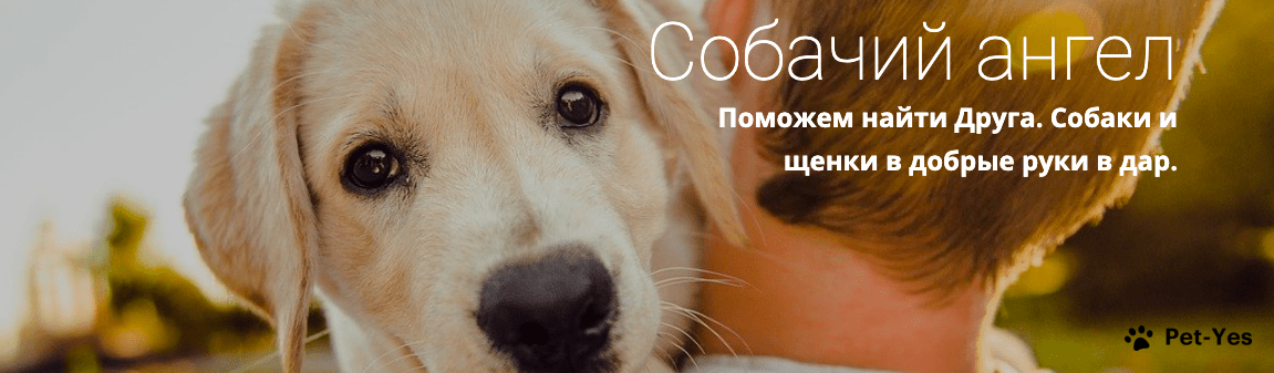 Обложка профиля пользователя