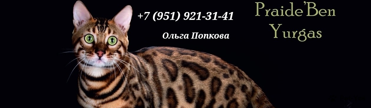 Обложка профиля пользователя