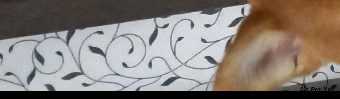 Обложка профиля пользователя