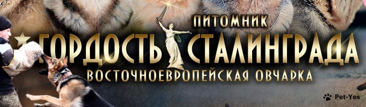 Обложка профиля пользователя