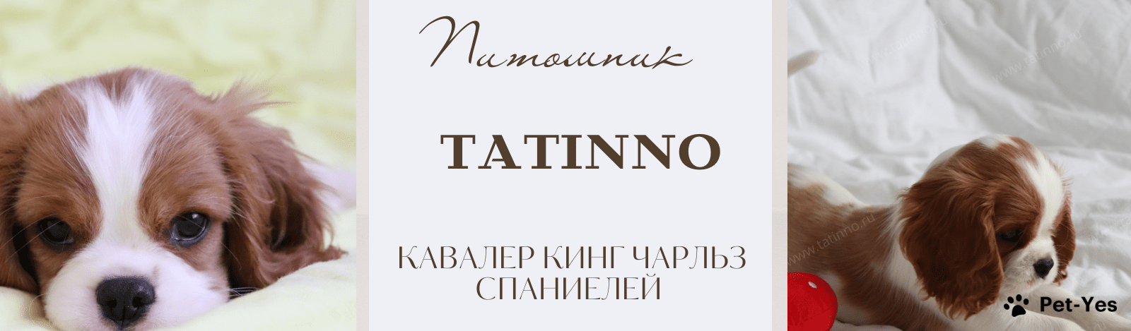 Обложка профиля пользователя
