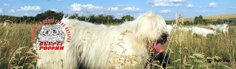 Обложка профиля пользователя