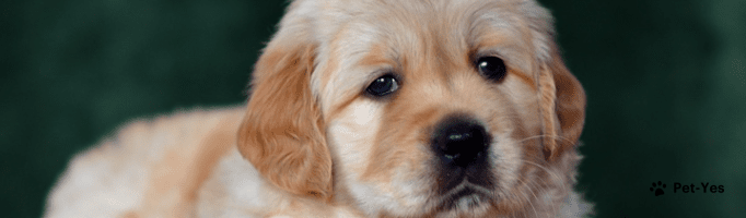 Обложка профиля пользователя