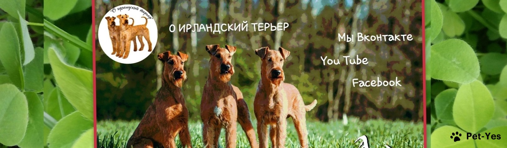 Обложка профиля пользователя