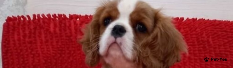 Обложка профиля пользователя