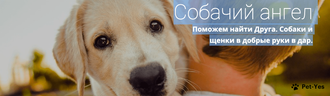Обложка профиля пользователя