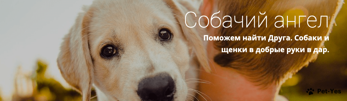 Обложка профиля пользователя