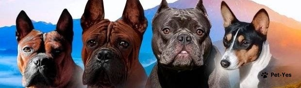 Обложка профиля пользователя