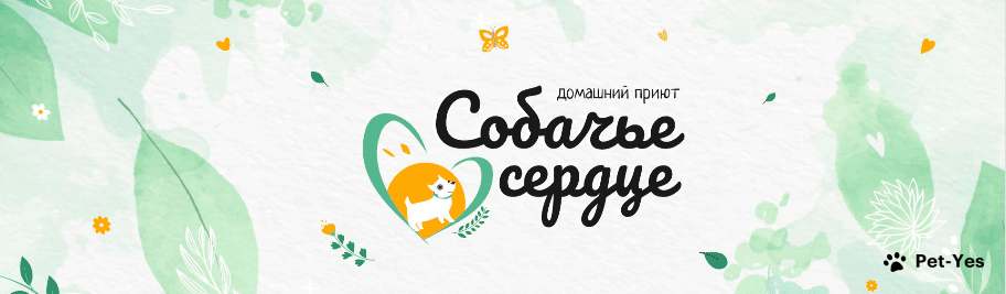 Обложка профиля пользователя