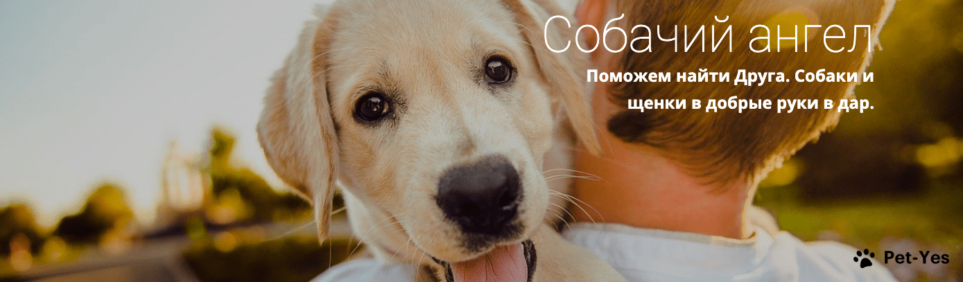 Обложка профиля пользователя